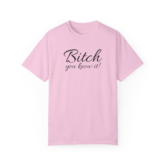 Est. Bitch Unisex Garment-Dyed T-shirt