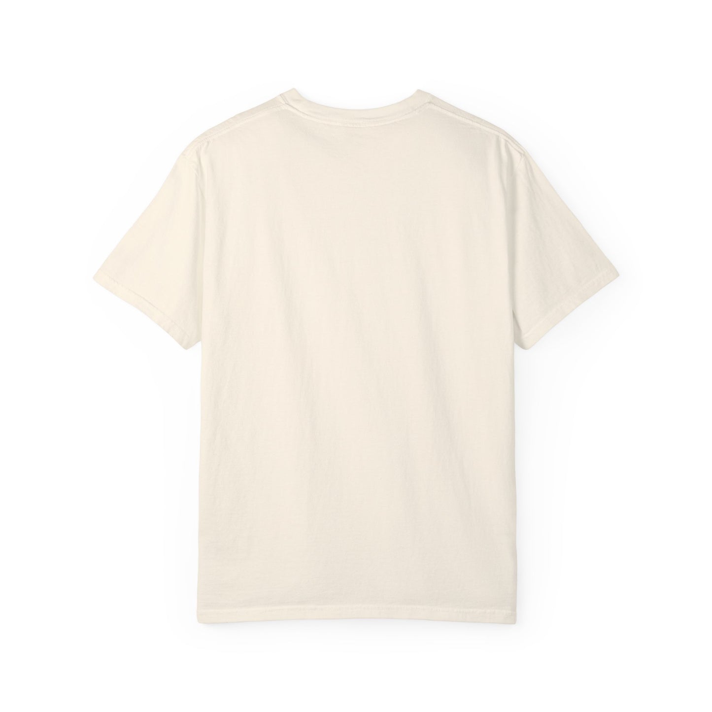 NVS Plug Fashion design Unisex Garment-Dyed T-shirt