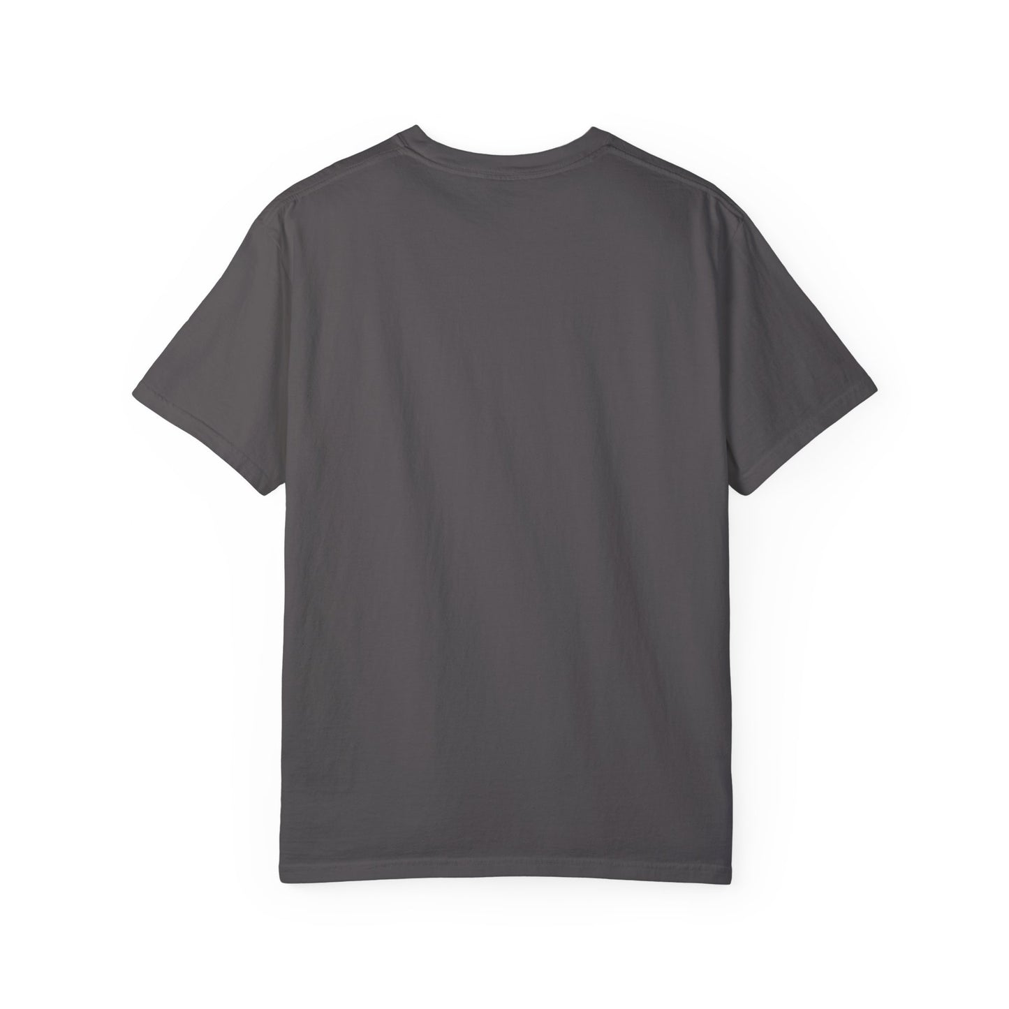 NVS OFFUnisex Garment-Dyed T-shirt